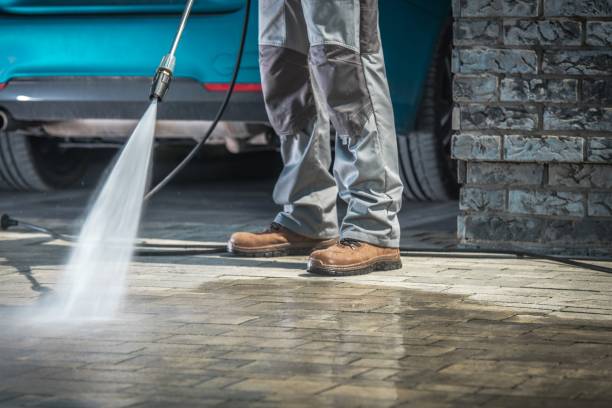 Best Warehouse Cleaning  in Jenison, MI