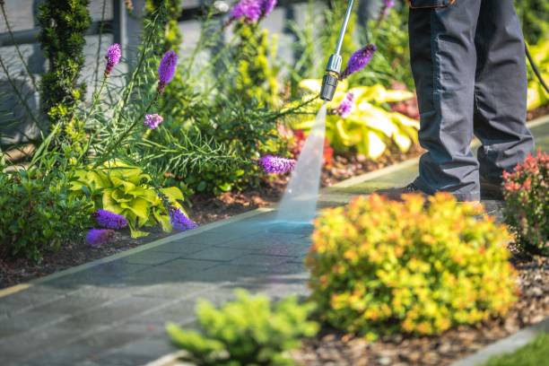 Best Pre-Holiday Cleaning  in Jenison, MI
