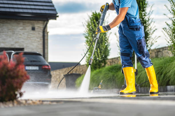 Best Solar Panel Cleaning  in Jenison, MI